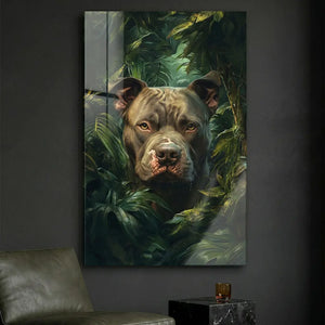 Hunde & Pitbull Bilder