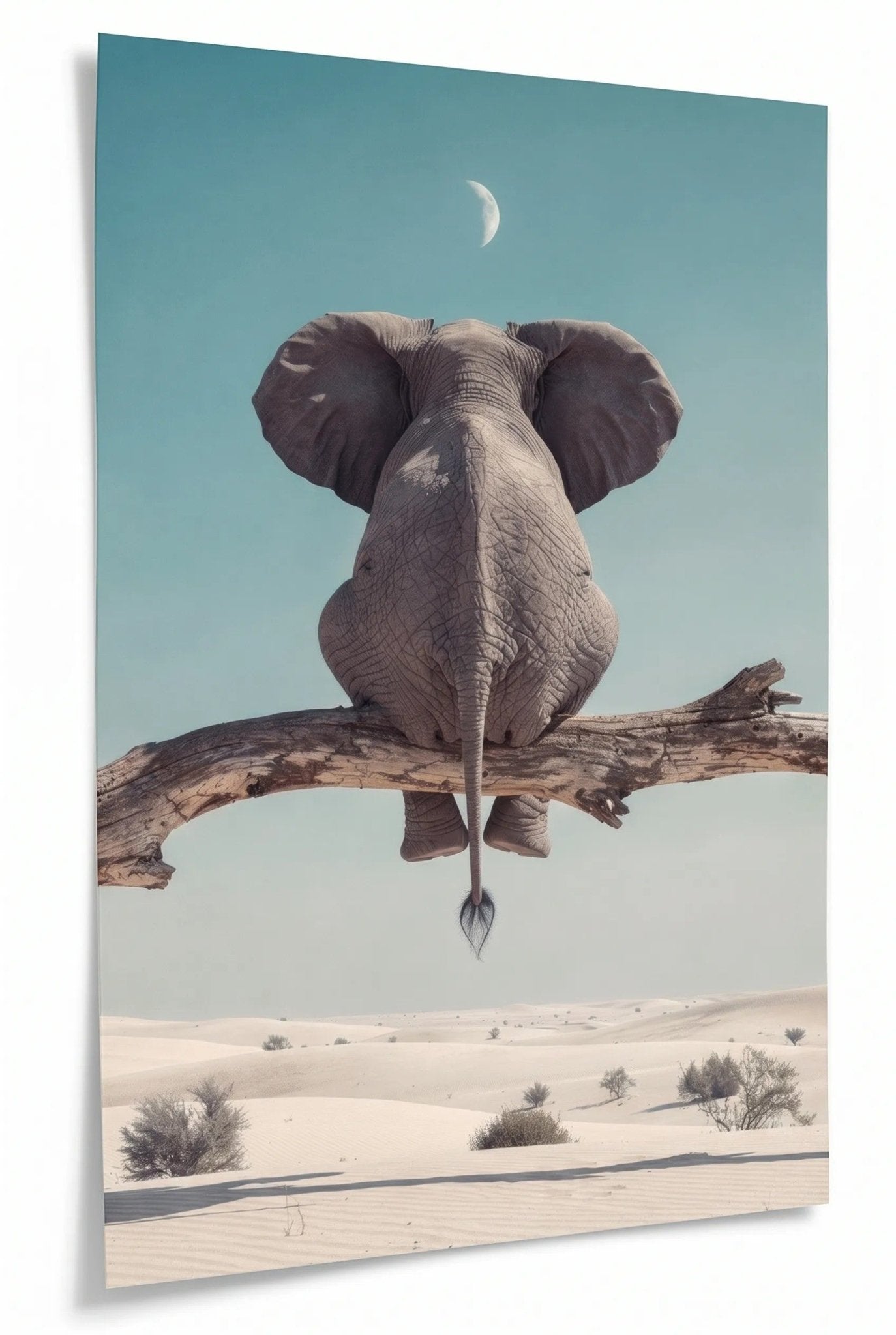 Elefant sitzt auf Ast in der Wüste – Halbmond - Dein Wandbild