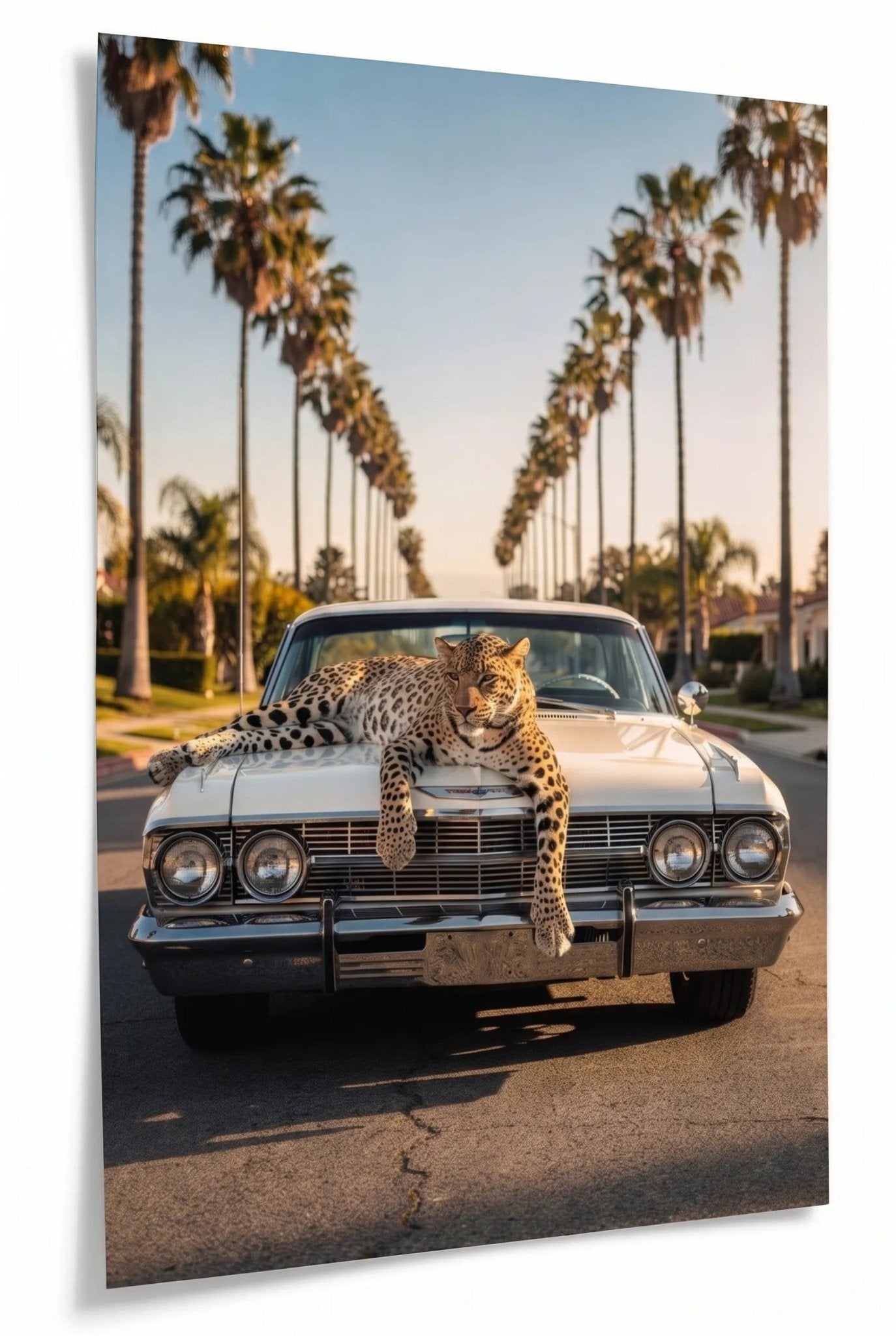 Leopard auf Chevrolet Impala – Palmenallee - Dein Wandbild