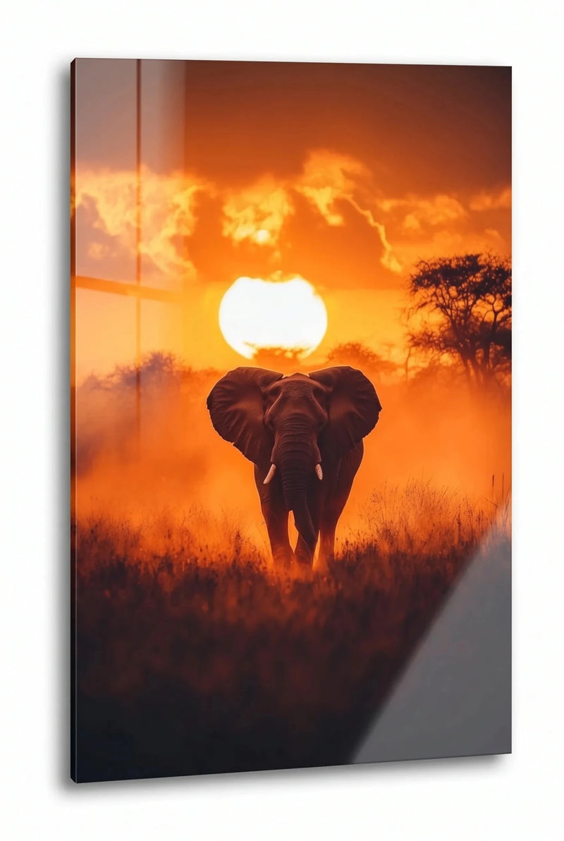 Elefant Safari Sonnenuntergang Savanne Wandbild - Dein Wandbild