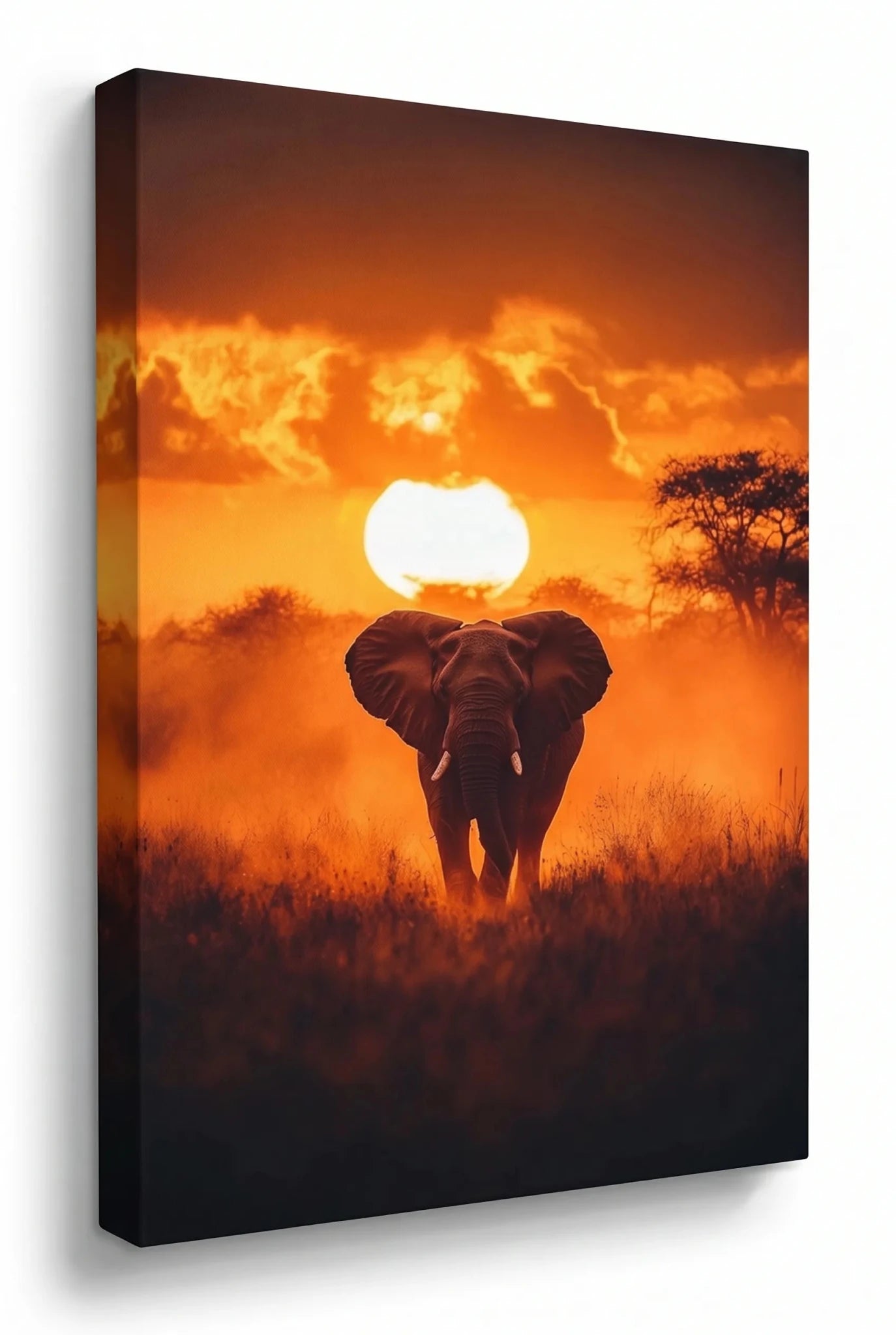 Elefant Safari Sonnenuntergang Savanne Wandbild - Dein Wandbild