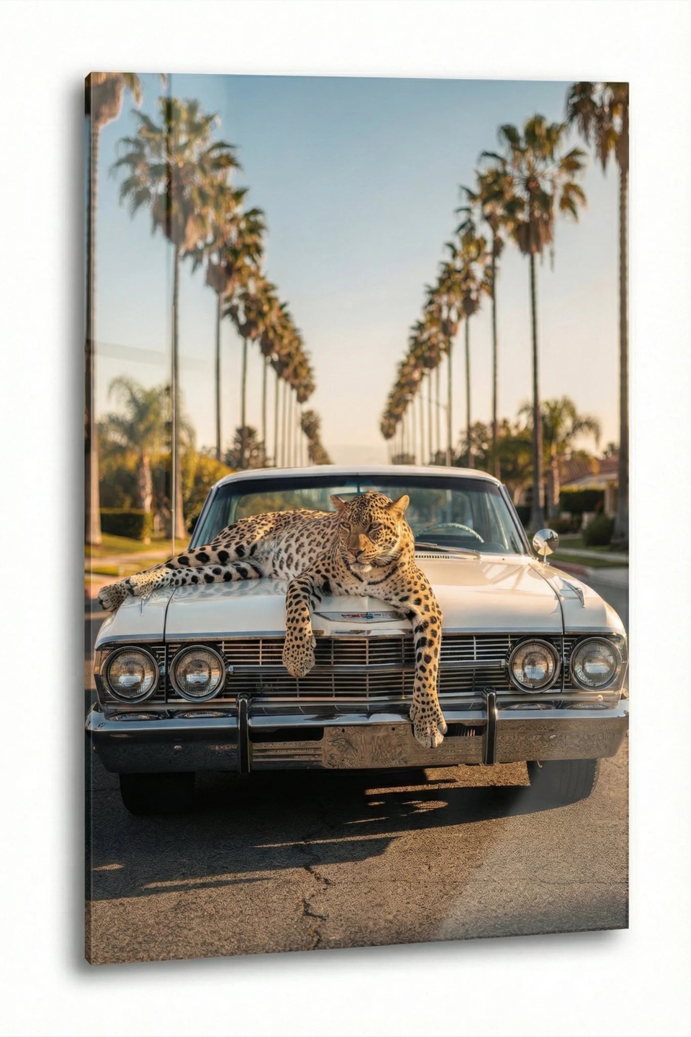 Jaguar auf Classic Impala | Dein Wandbild - Dein Wandbild