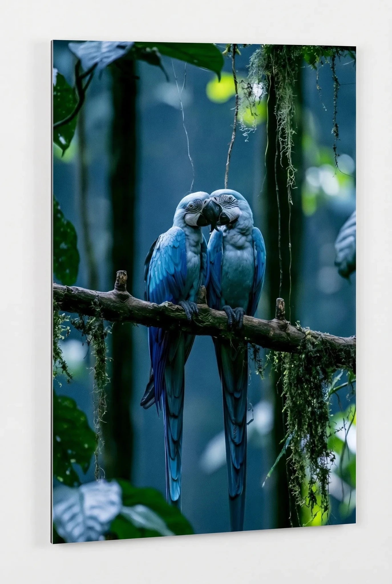 Zwei Blaue Aras auf Ast im Regenwald Wandbild - Dein Wandbild