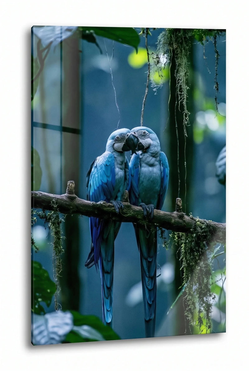 Zwei Blaue Aras auf Ast im Regenwald Wandbild - Dein Wandbild