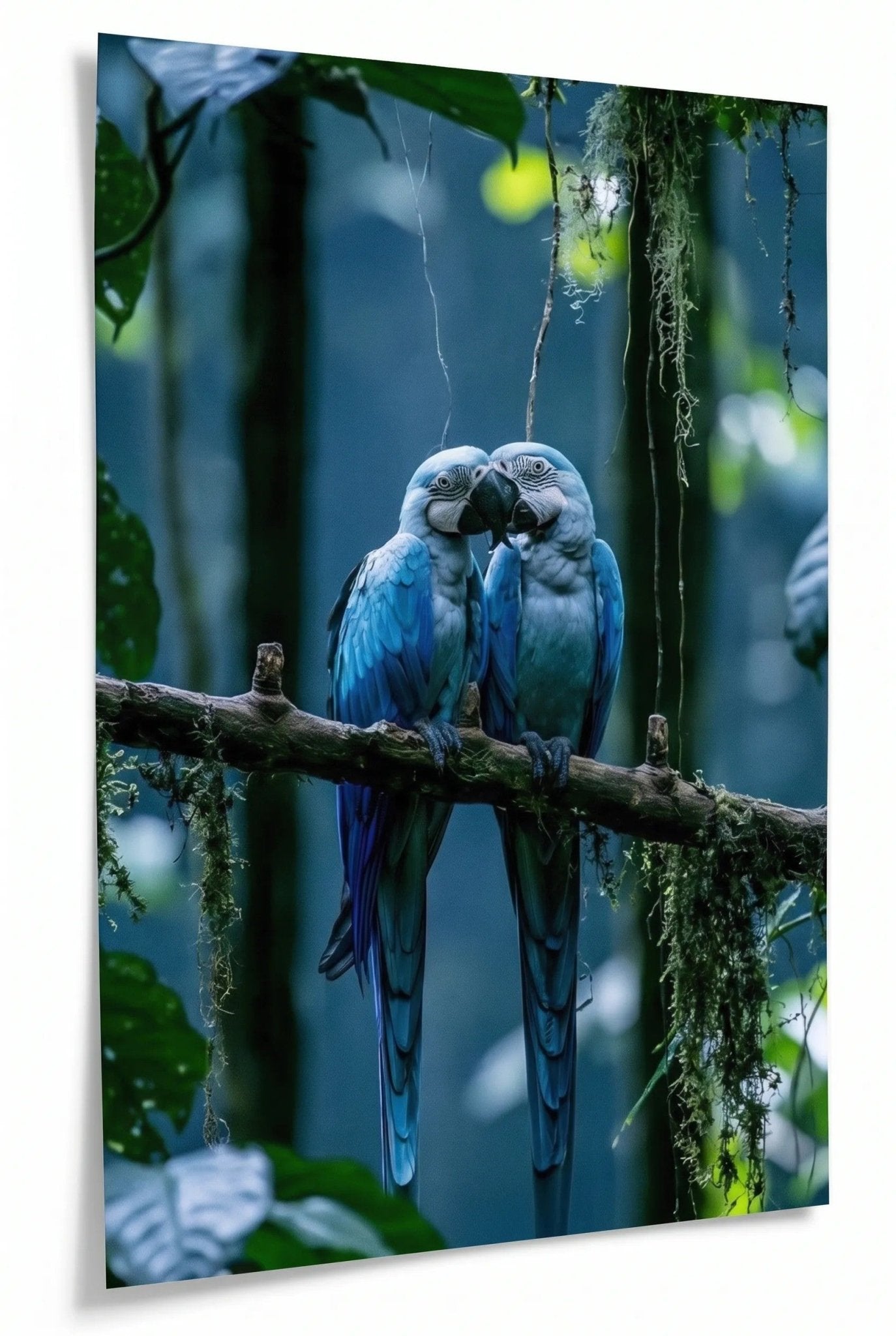 Zwei Blaue Aras auf Ast im Regenwald Wandbild - Dein Wandbild