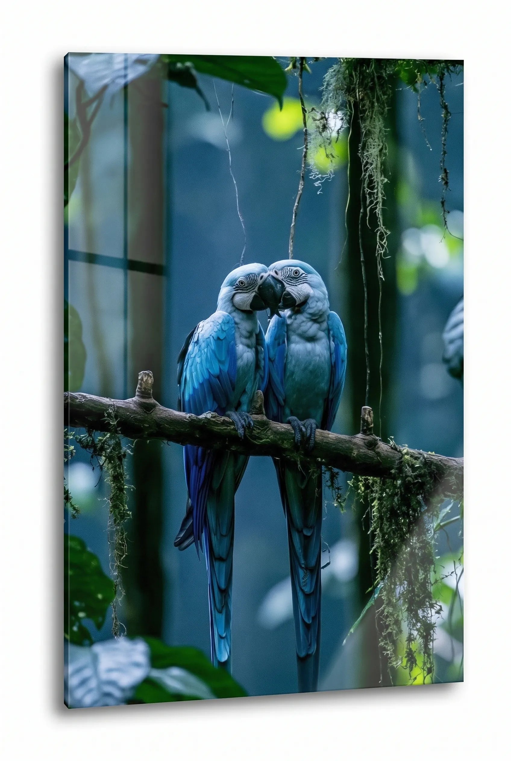 Zwei Blaue Aras auf Ast im Regenwald Wandbild - Dein Wandbild