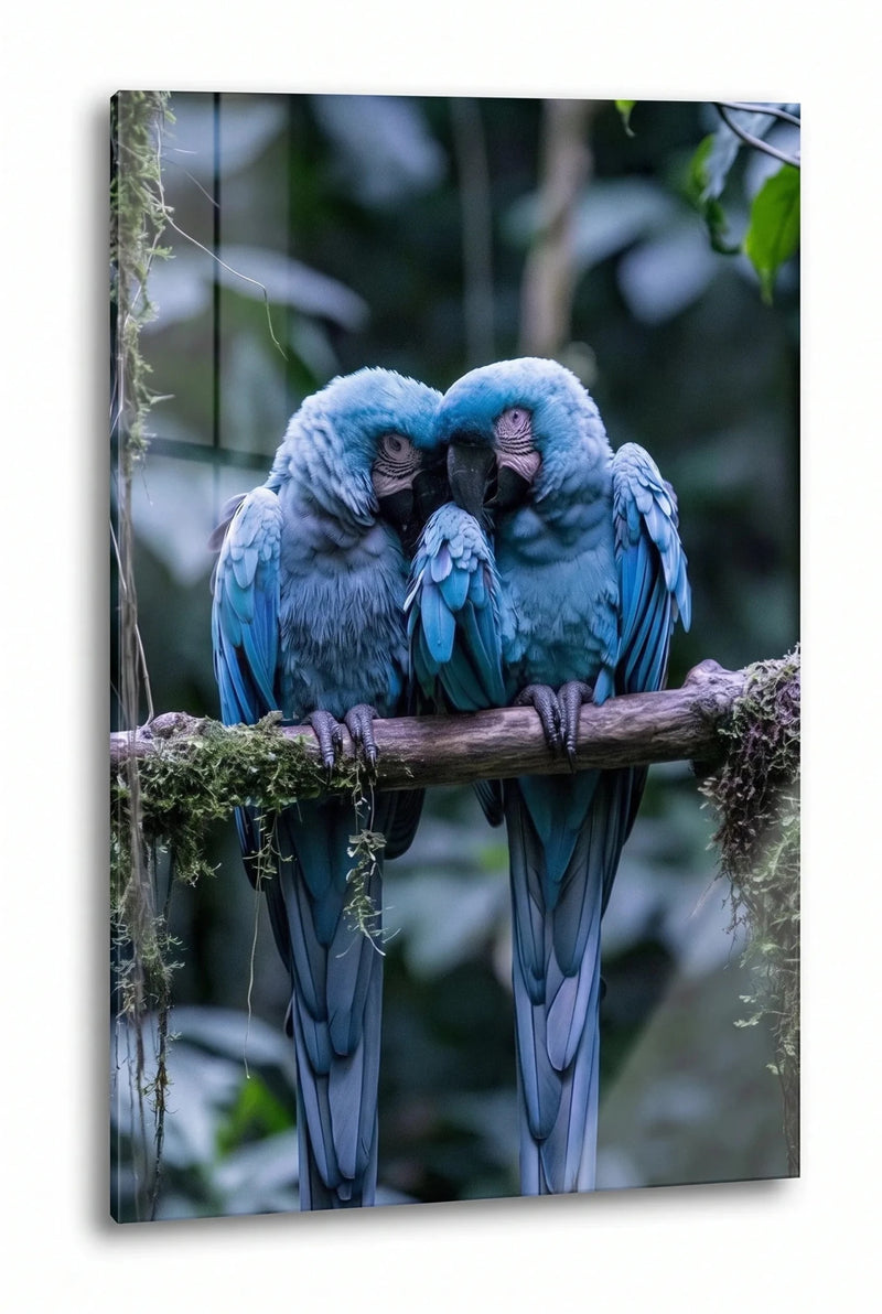 Zwei Blaue Aras Papageien Dschungel Wandbild - Dein Wandbild
