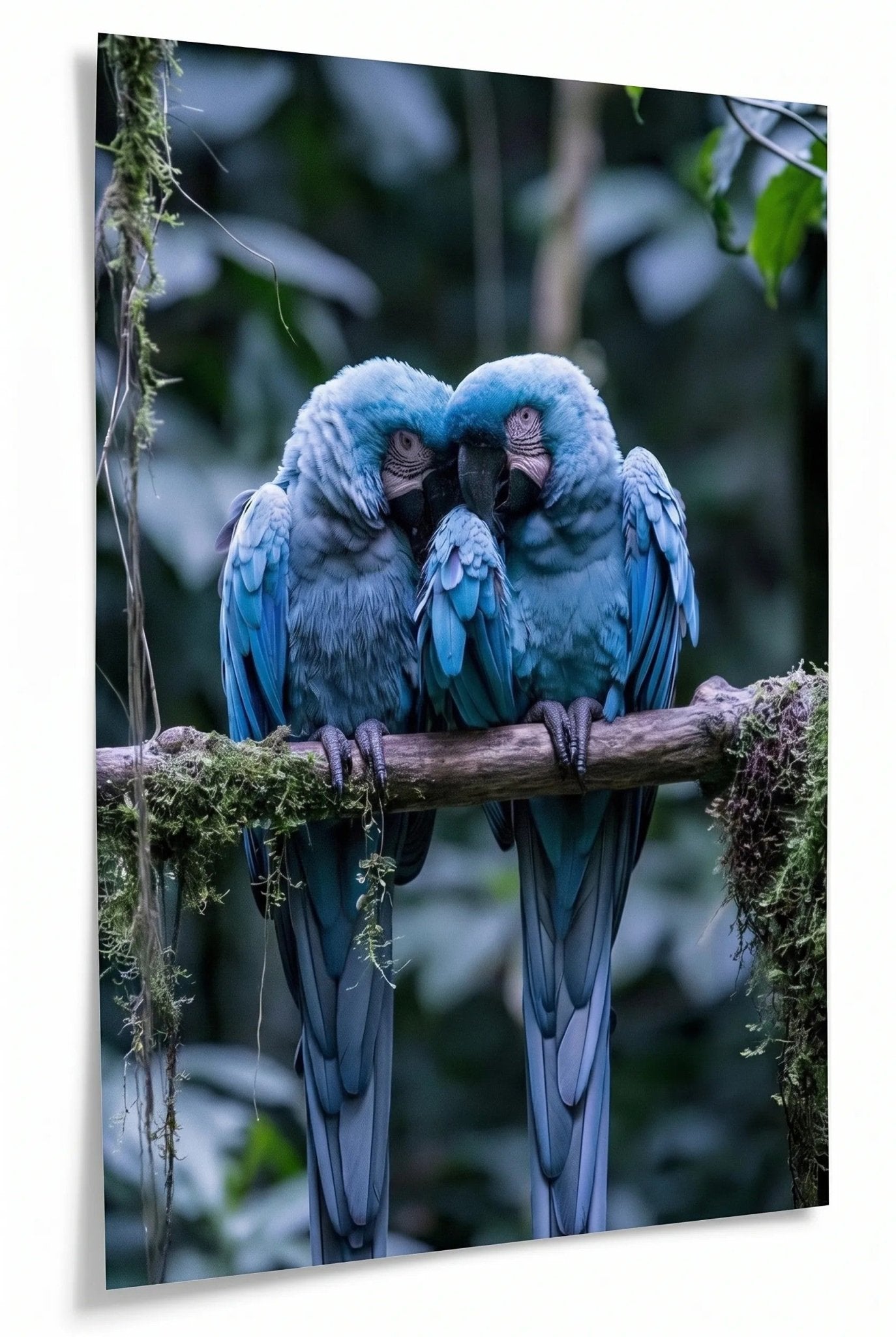 Zwei Blaue Aras Papageien Dschungel Wandbild - Dein Wandbild