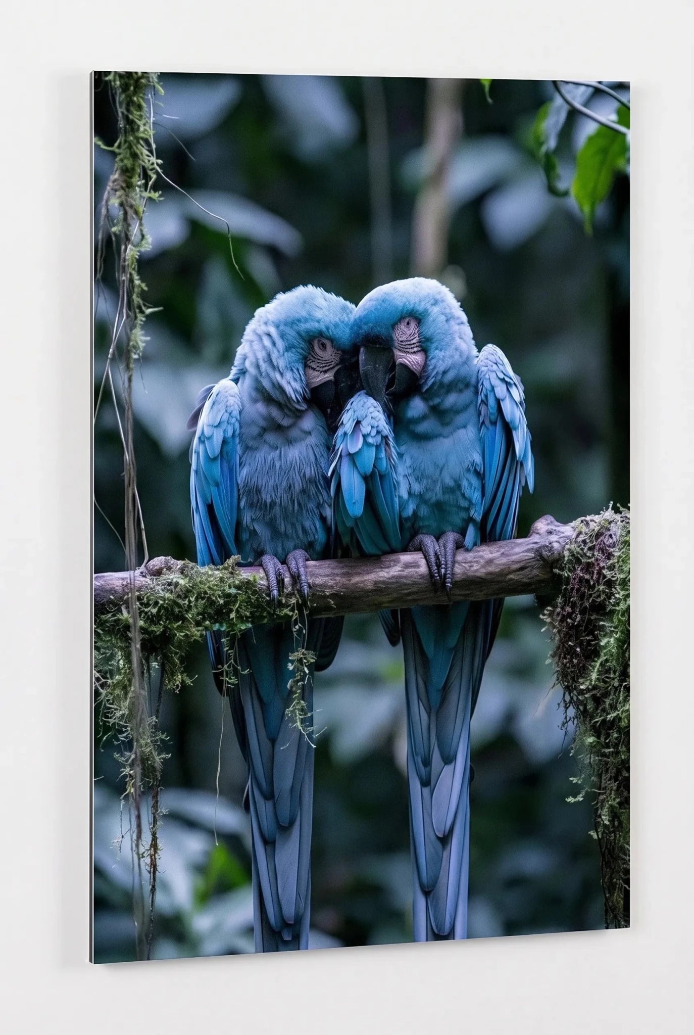 Zwei Blaue Aras Papageien Dschungel Wandbild - Dein Wandbild