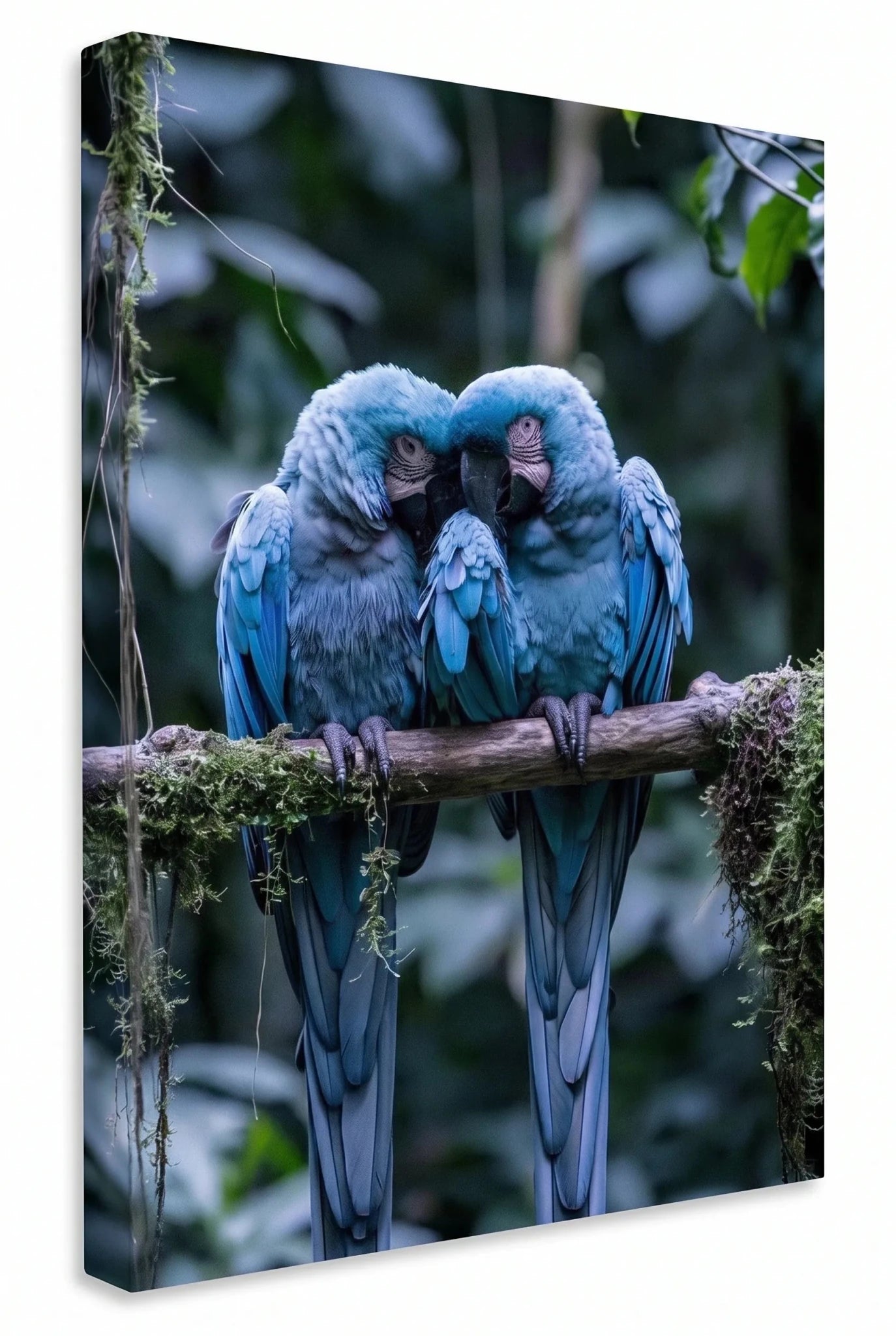 Zwei Blaue Aras Papageien Dschungel Wandbild - Dein Wandbild