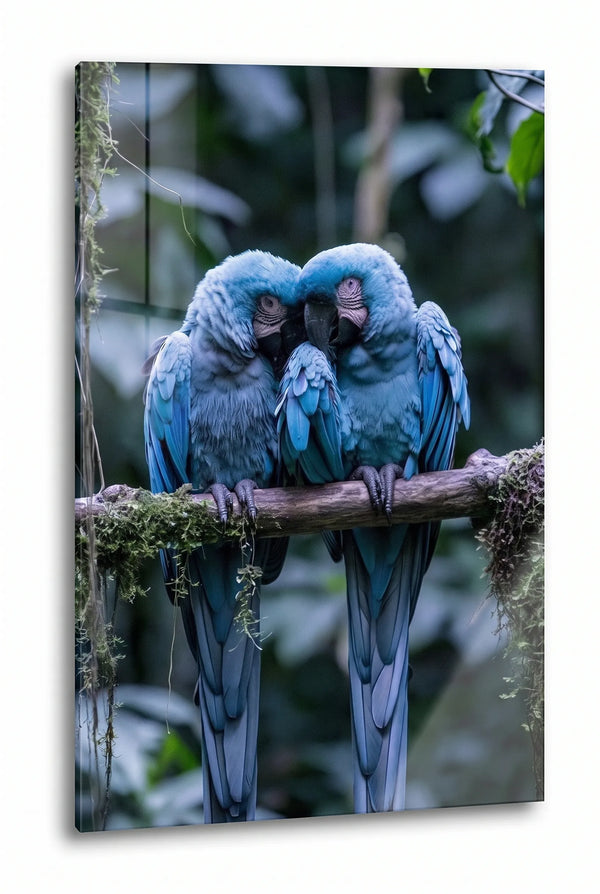 Zwei Blaue Aras Papageien Dschungel Wandbild - Dein Wandbild